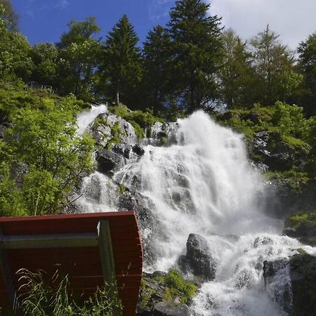 Waldloft Titisee Екстер'єр фото