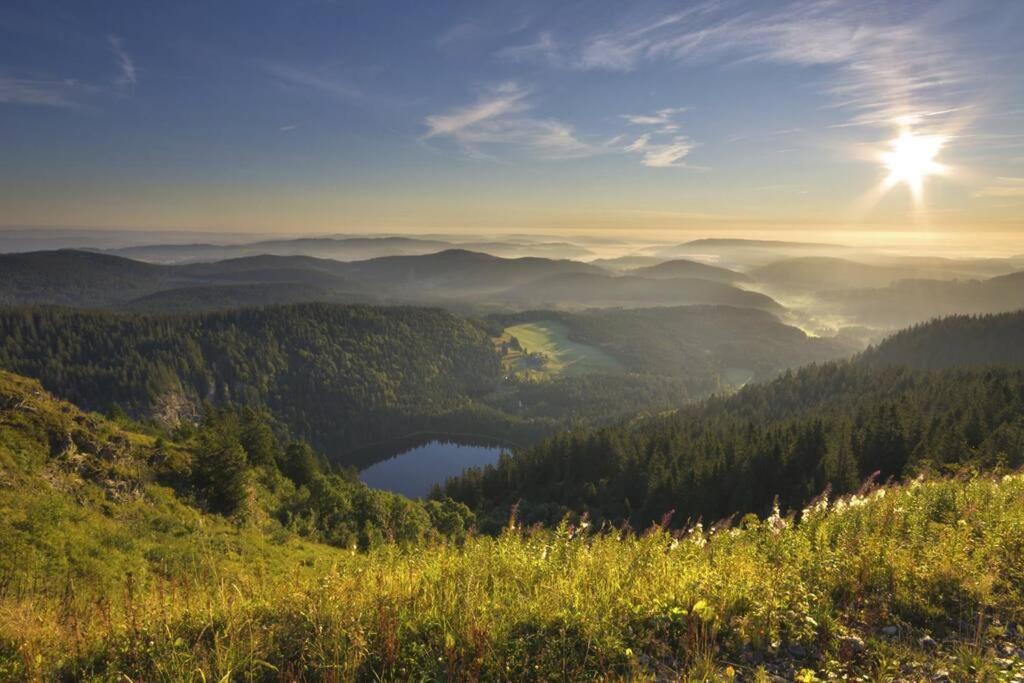 Waldloft Titisee Екстер'єр фото
