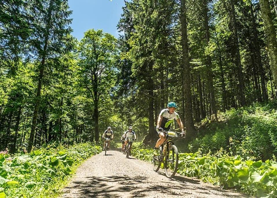 Waldloft Titisee Екстер'єр фото