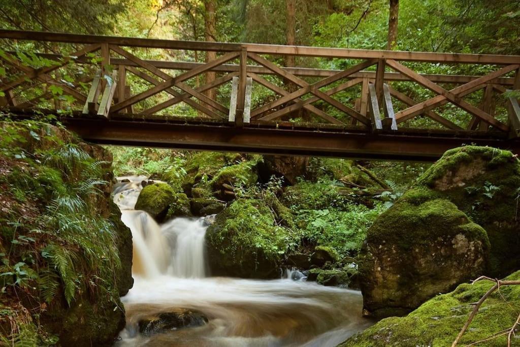 Waldloft Titisee Екстер'єр фото